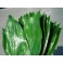AspIdistra